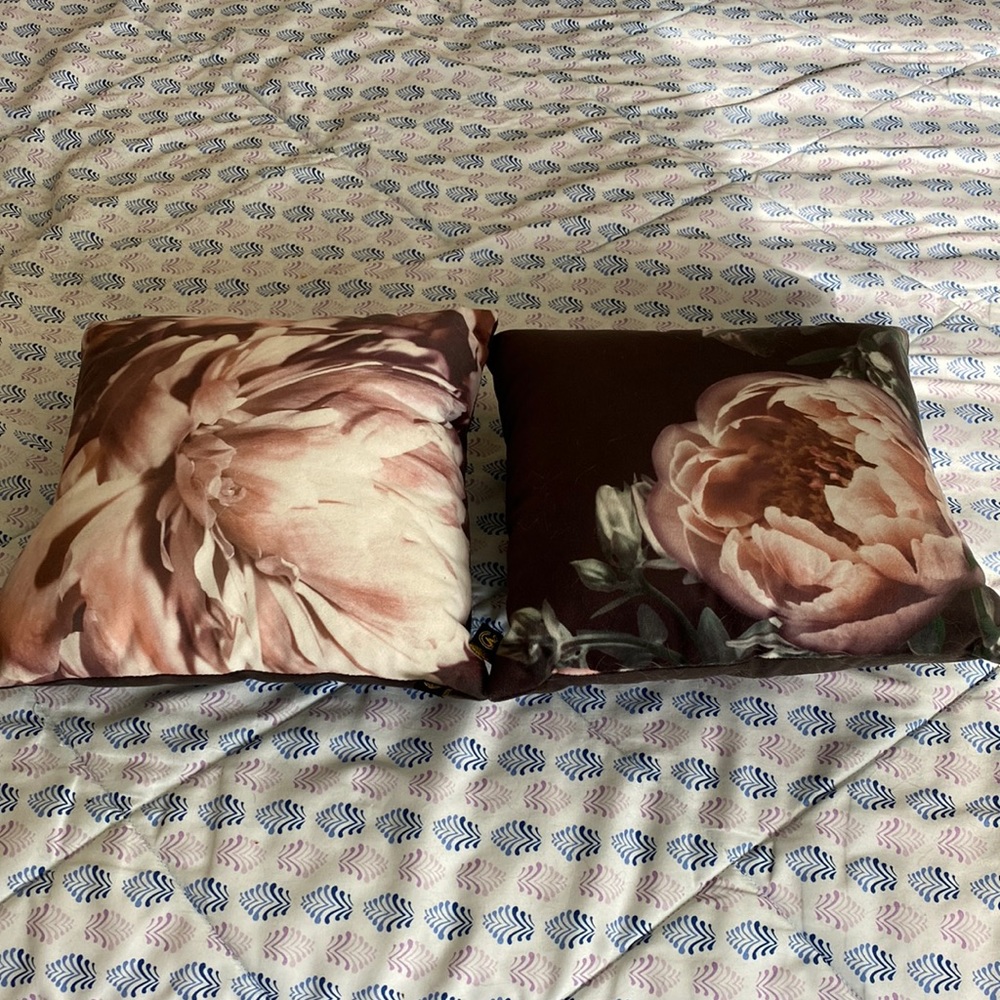 Two decorative pillows